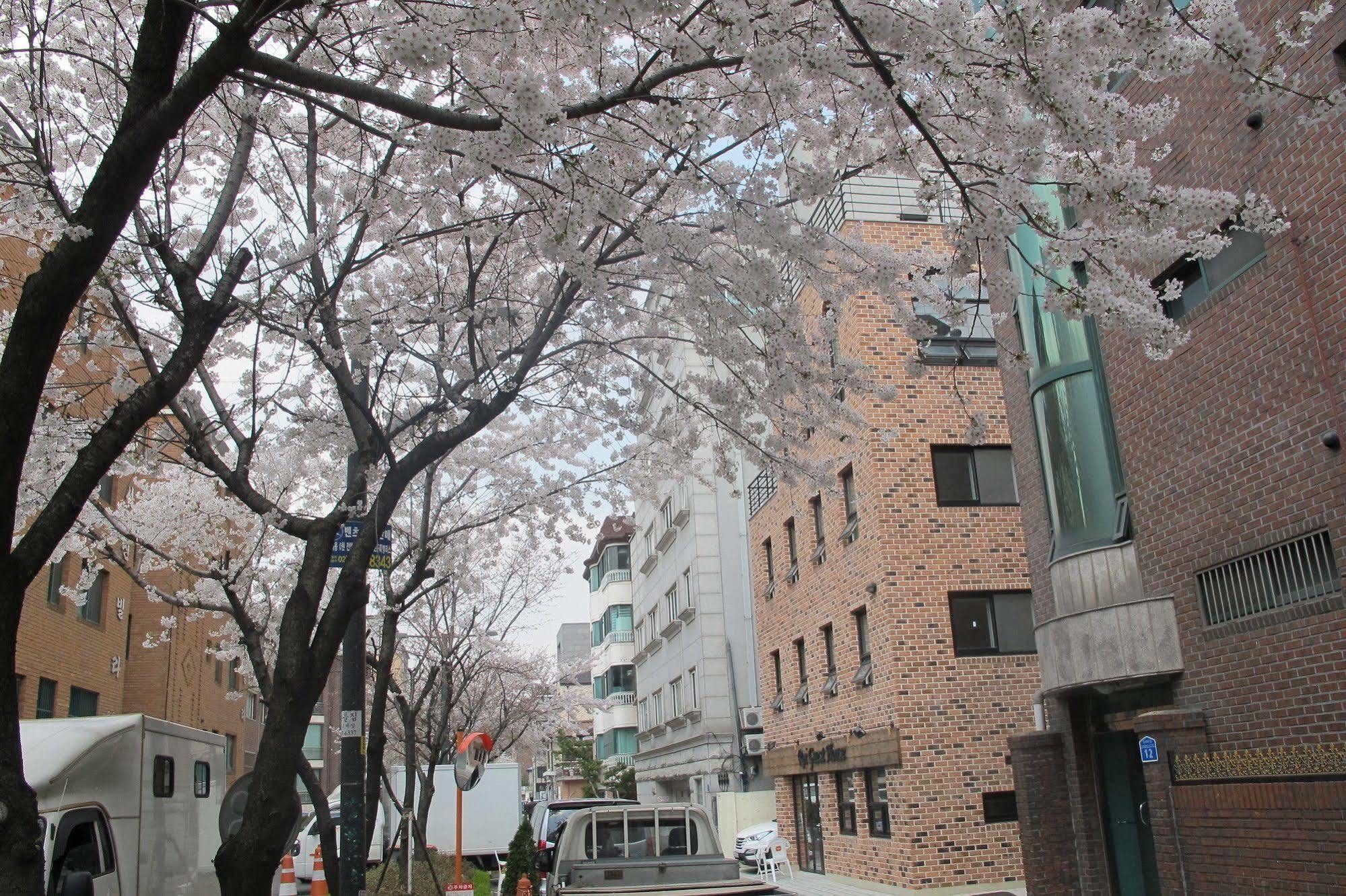 Roi House 2* Seoul